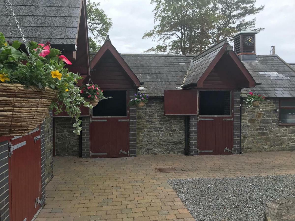 Llangwyryfon Country Breaks Bed & Breakfast Aberystwyth Dış mekan fotoğraf
