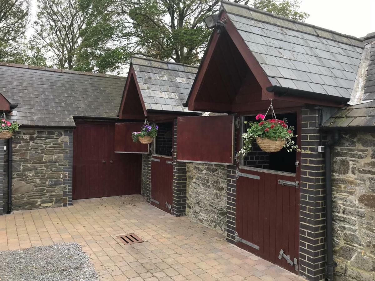 Llangwyryfon Country Breaks Bed & Breakfast Aberystwyth Dış mekan fotoğraf