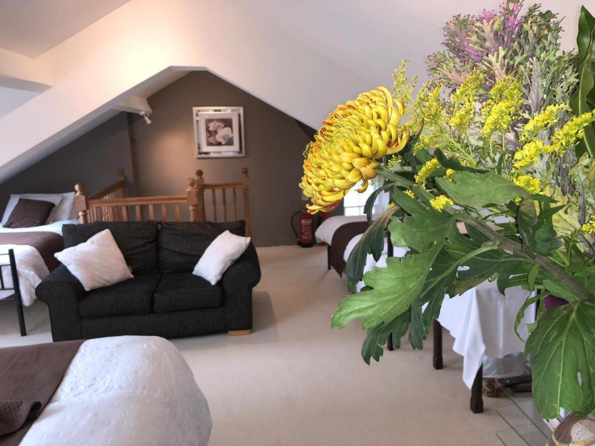 Llangwyryfon Country Breaks Bed & Breakfast Aberystwyth Dış mekan fotoğraf